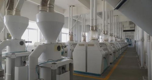 鄉村振興進行時 多措并舉促就業，精準服務暖民心，文藝創作煥活力